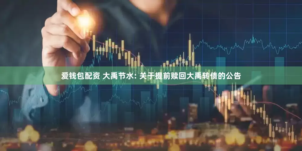 爱钱包配资 大禹节水: 关于提前赎回大禹转债的公告
