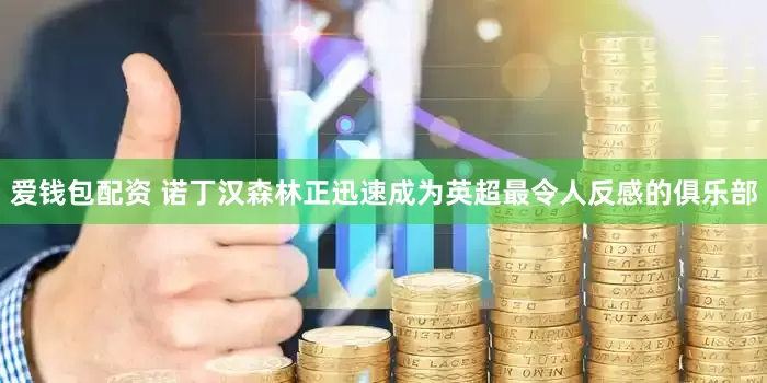 爱钱包配资 诺丁汉森林正迅速成为英超最令人反感的俱乐部