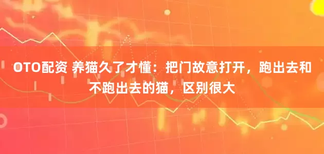 OTO配资 养猫久了才懂：把门故意打开，跑出去和不跑出去的猫，区别很大